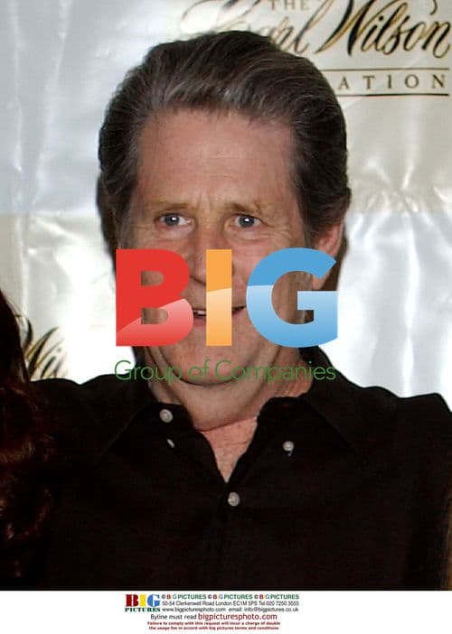 Brian Wilson at Carl Wilson Foundation Concert