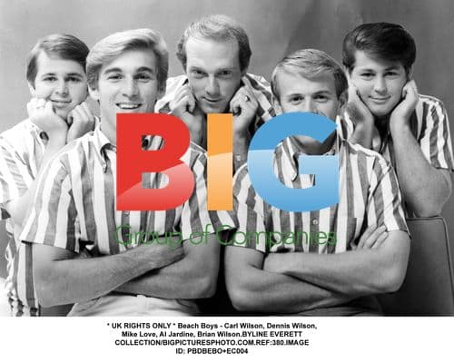 The Beach Boys Portrait