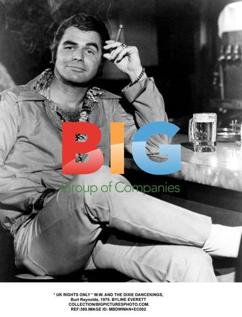 W.W. AND THE DIXIE DANCEKINGS