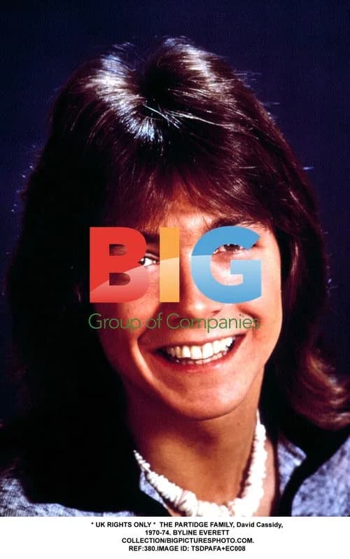 The Partridge Family with David Cassidy
