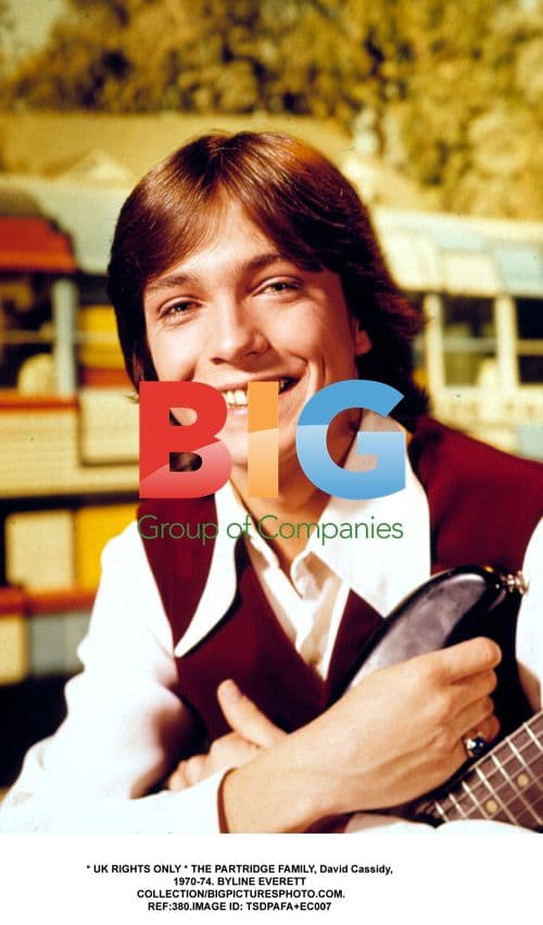 David Cassidy in THE PARTRIDGE FAMILY