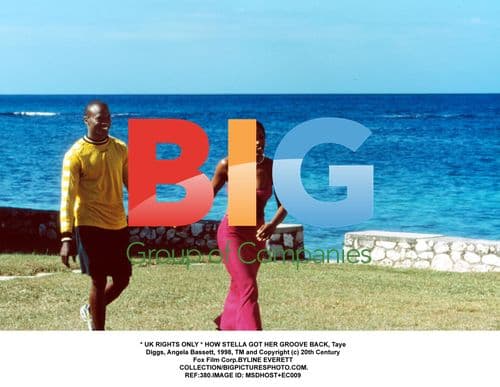 HOW STELLA GOT HER GROOVE BACK