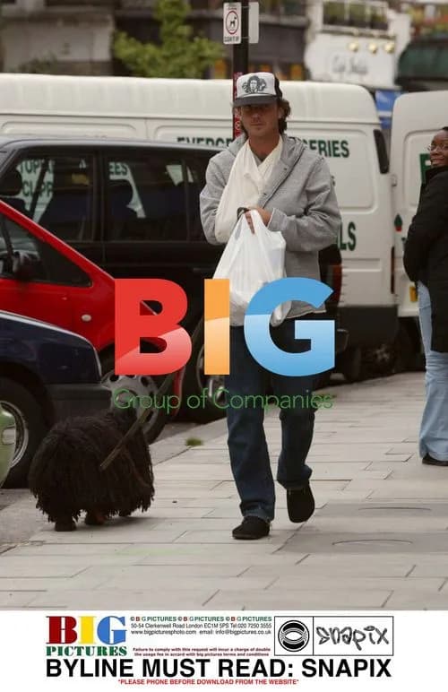 Gavin Rossdale walks dog with arm in sling