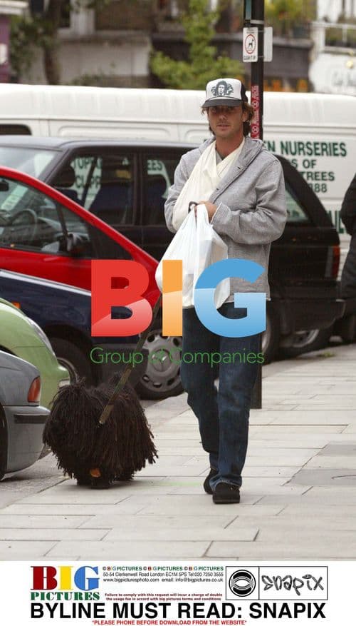 Gavin Rossdale out with Winston the dog