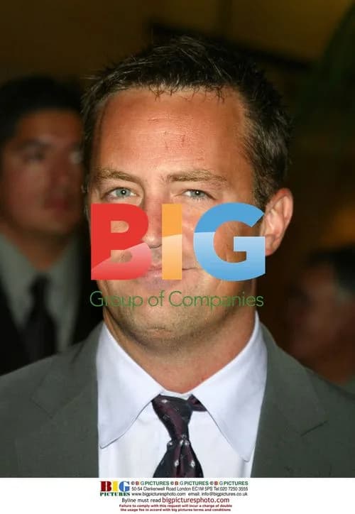 Matthew Perry Hosts Lili Claire Foundation Benefit