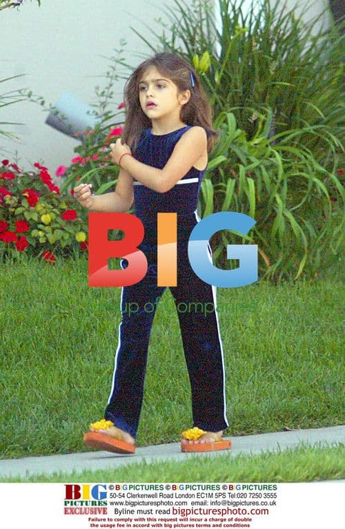 Lourdes playing with Chihuahua puppy