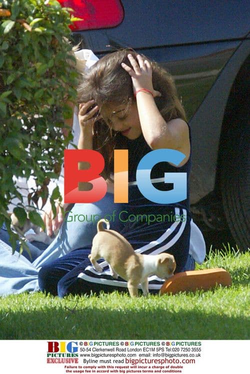 Madonna's daughter Lourdes with Chihuahua