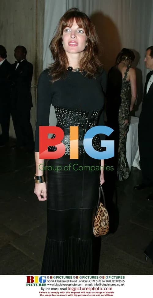 Stephanie Seymour at Whitney Museum Gala