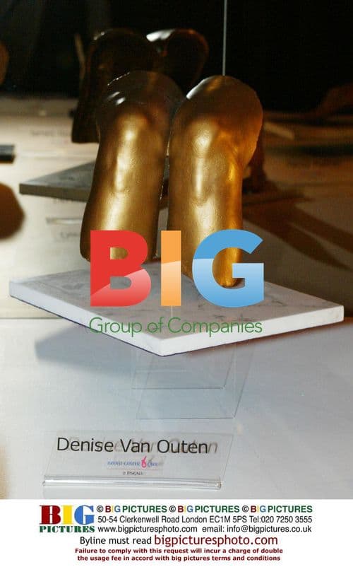 DENISE VAN OUTEN'S KNEES AT AUCTION