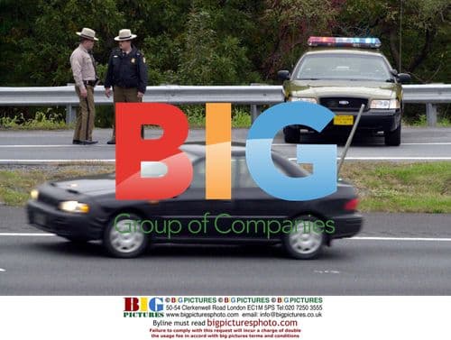 Hollywood star poses on red carpet