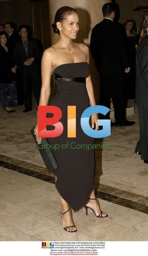 Halle Berry at Wish Night 2002 Benefit