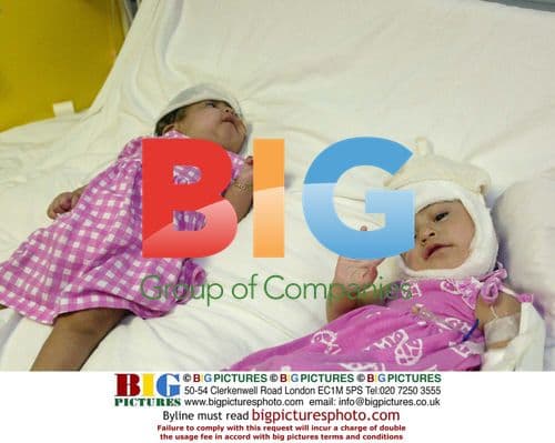 New York Fashion Week, Fall 2022