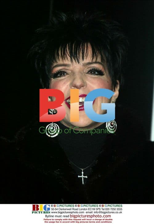 LIZA MINNELLI promotes 'Liza's Back' CD