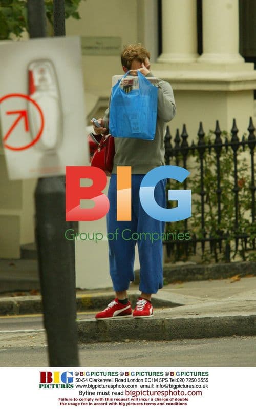 Pop idol Will Young relaxes in North London