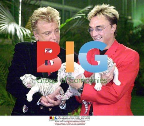 Siegfried & Roy Introduce New White Tiger Cubs