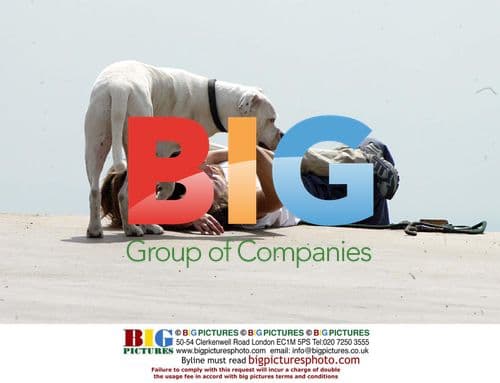 Drew Barrymore and Joel Shearer hike with dogs