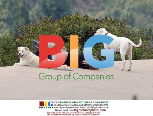 Drew Barrymore and boyfriend hike with dogs