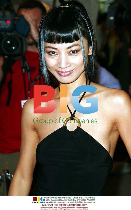 Bai Ling at "Frida" Film Premiere