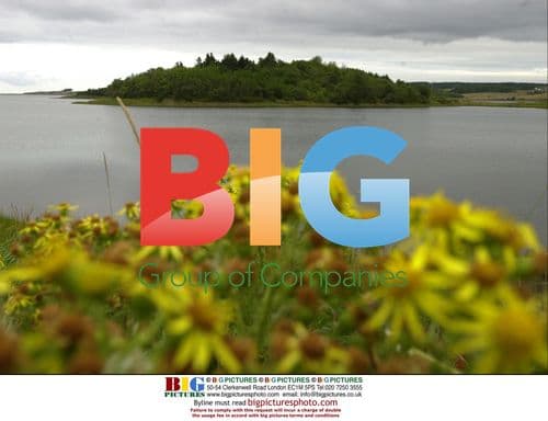 Uma Thurman and Ethan Hawke Buy Canadian Island