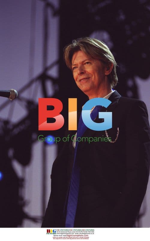 David Bowie performs at Area 2 festival