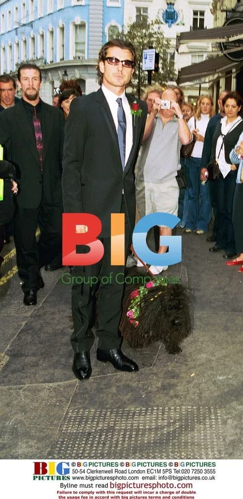 Gavin Rossdale Arrives at Wedding to Gwen Stefani