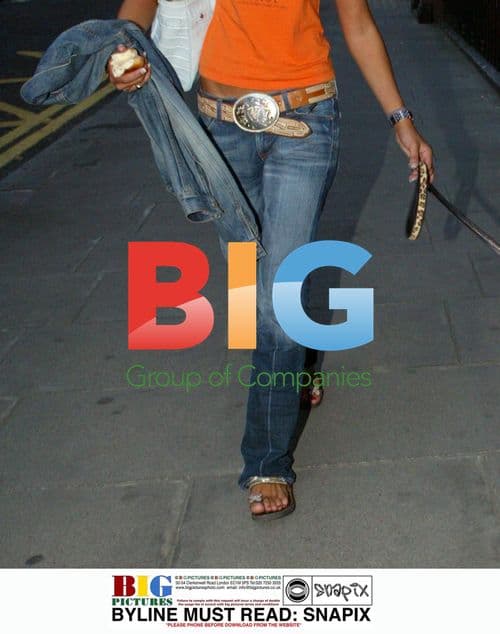 Lady Victoria Hervey walks dog in London