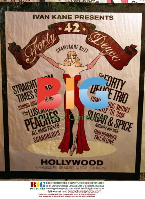 David Arquette's 31st Birthday