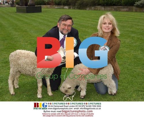 Joanna Lumley launches animal transport investigation