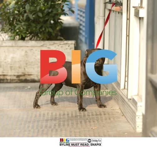 Tania Strecker Out Shopping with Dog