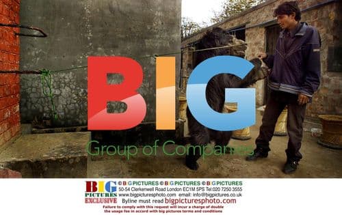 Bittu Khan with dancing bear