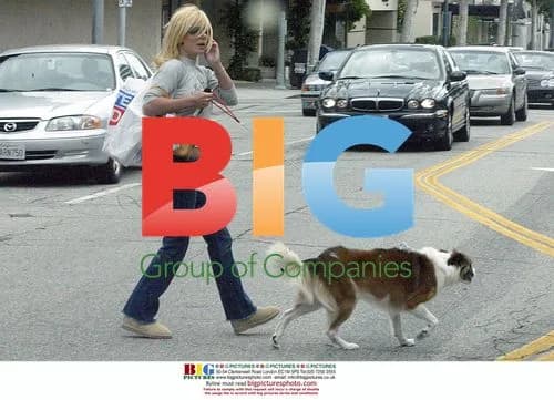 Geri Halliwell walks dog, gets coffee