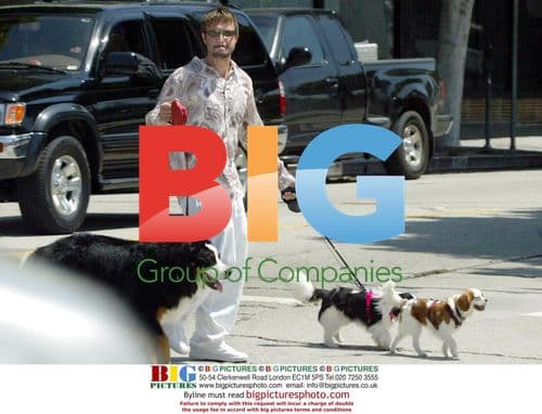 Courtney Cox and David Arquette walking dogs