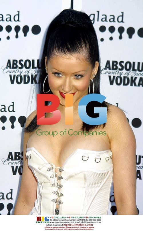 Natalie Portman at Charity Gala