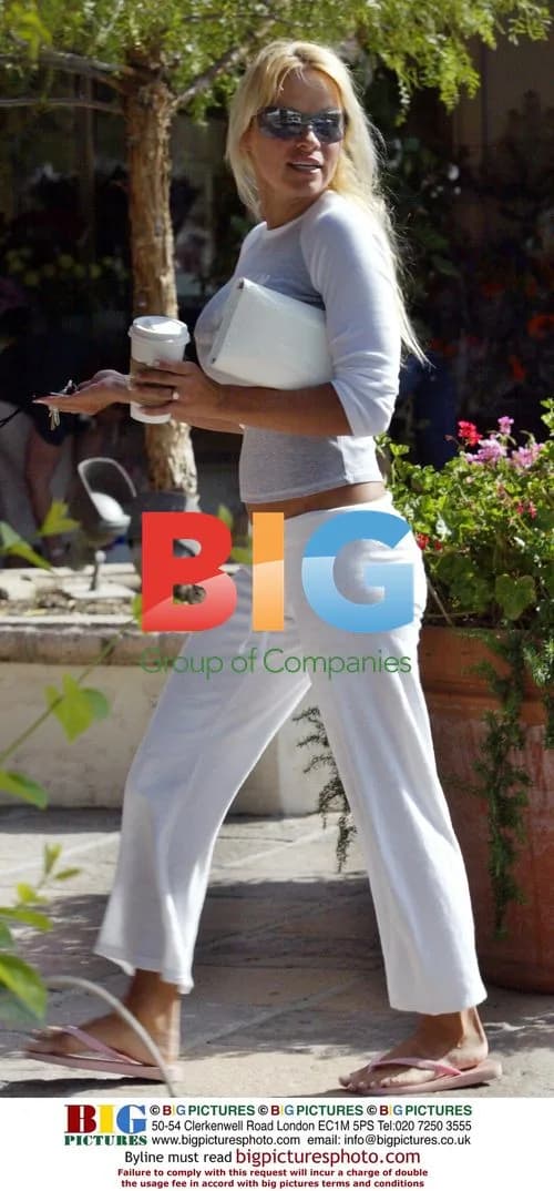 Pam Anderson with sons in Malibu