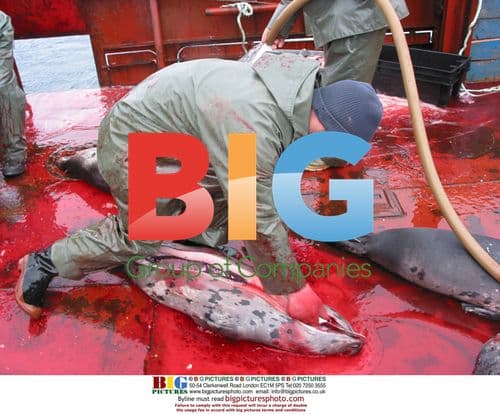 Melvin Bath seals first cut in Newfoundland