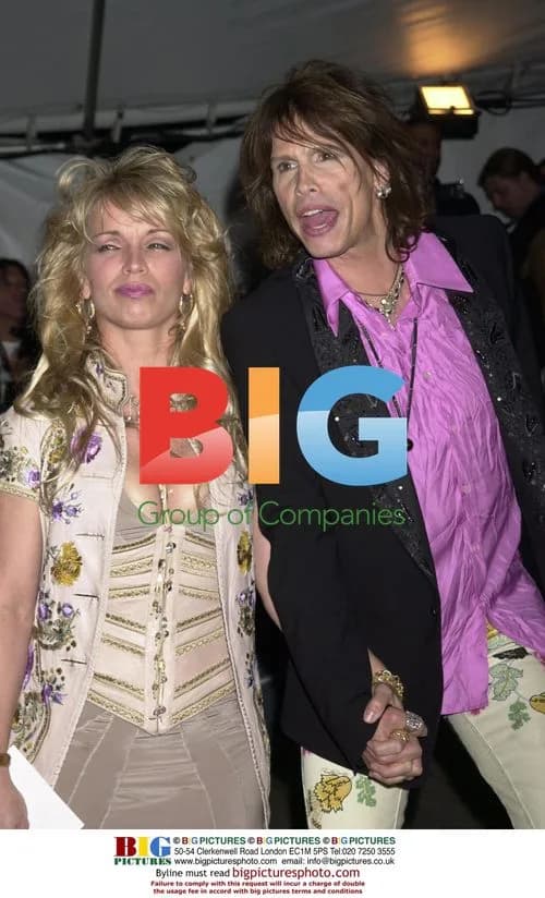 Steven Tyler at Met Gala