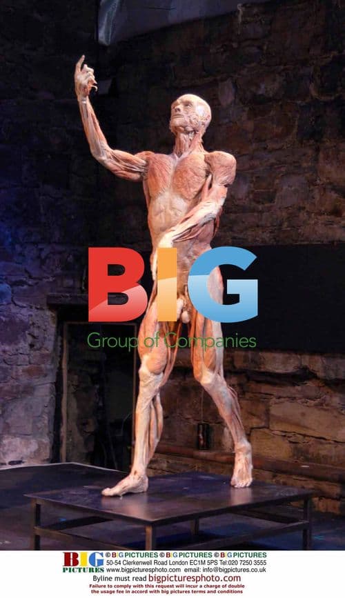 Professor Von Hagens Preserving Body Parts