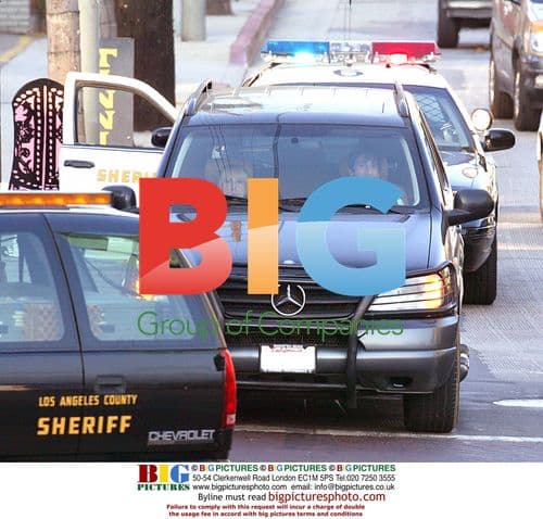 Adrien Brody Avoids Ticket After Traffic Stop