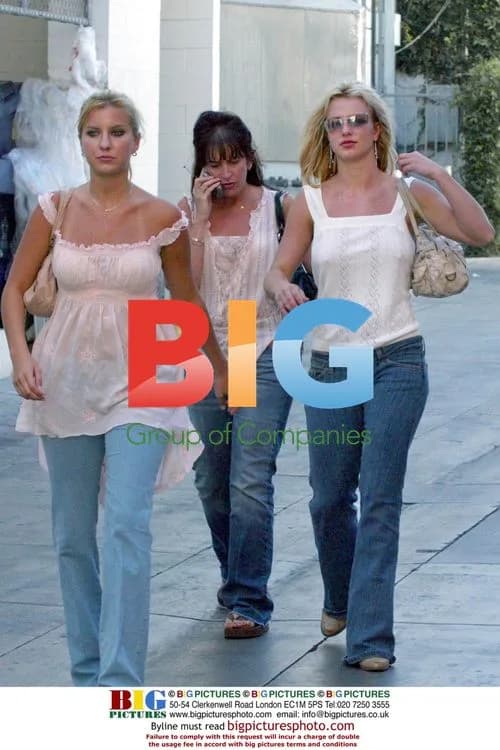 Britney Spears Shopping in LA