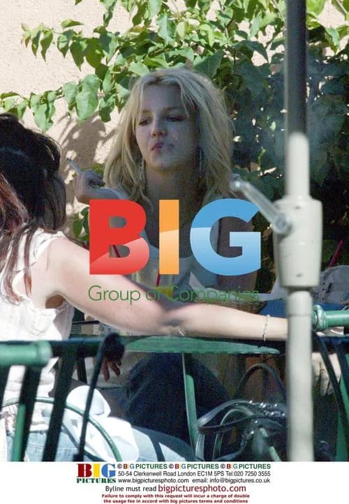 Britney Spears shopping with friend