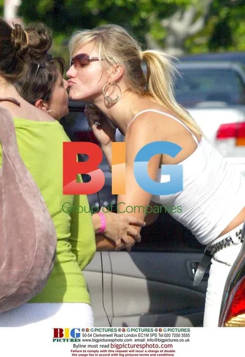 Cameron Diaz shopping in Hollywood