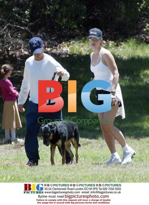 Sandra Bullock walks dog in Hollywood Hills