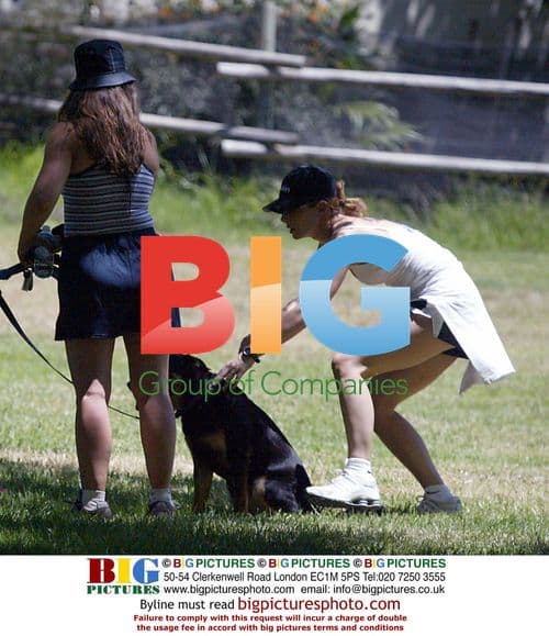 Sandra Bullock Walks Dog in Hollywood Hills