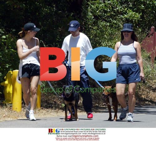 Sandra Bullock Walking Dog