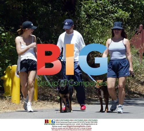 Sandra Bullock Walking Dog