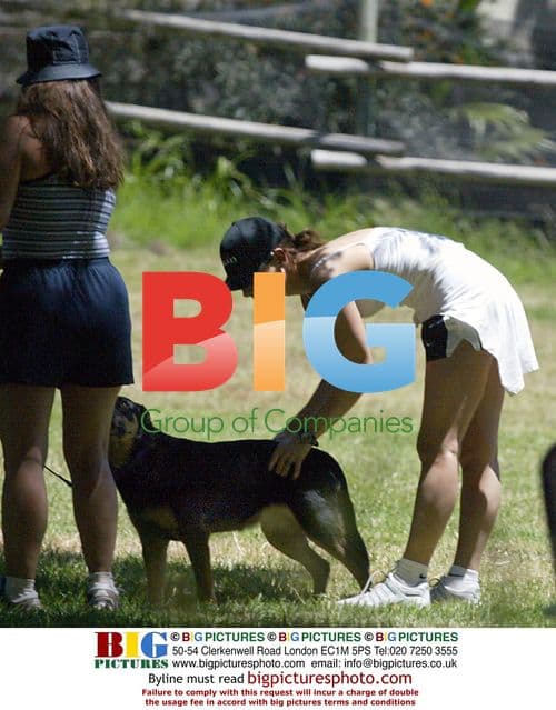 Sandra Bullock walks dog in Hollywood Hills