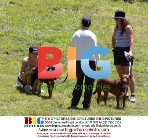 Sandra Bullock Walking Dog