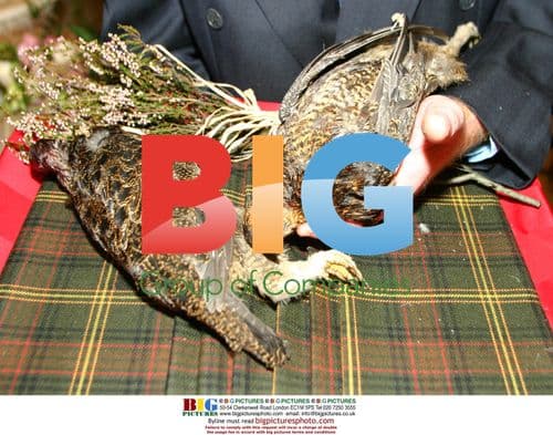 Grouse Arrival at Harrods