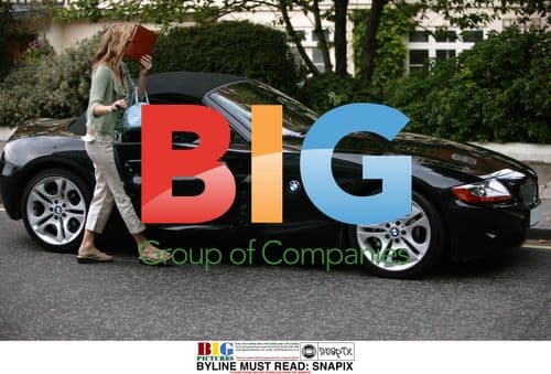 Celebs Arrive for Movie Premiere