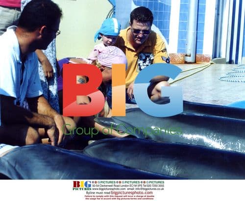 F1 Driver Ralph Schumacher at Dolphin Park